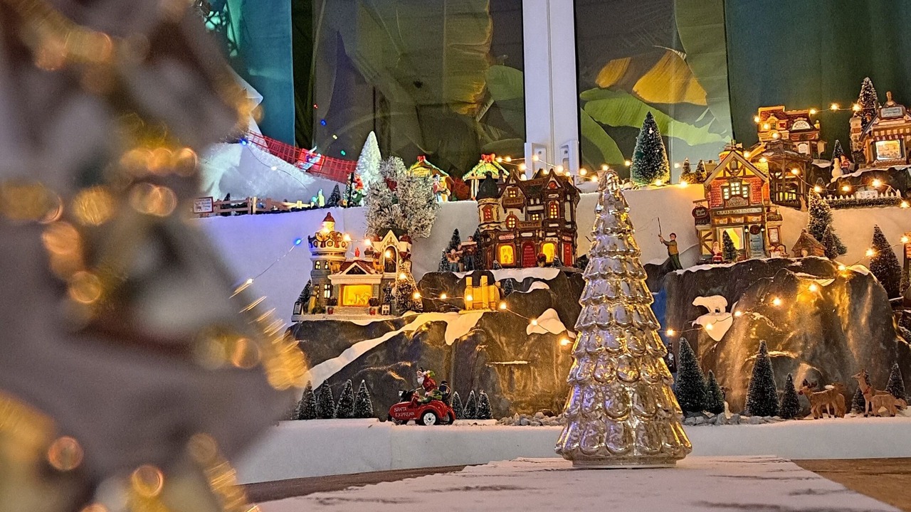 Photo of Others in Saint-Pierre-du-Mont