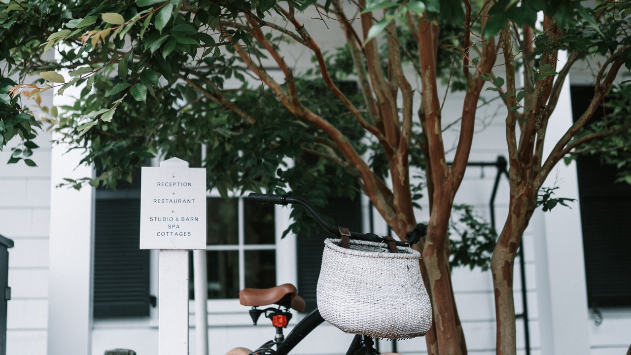 Photo of Outdoor in Bridgehampton