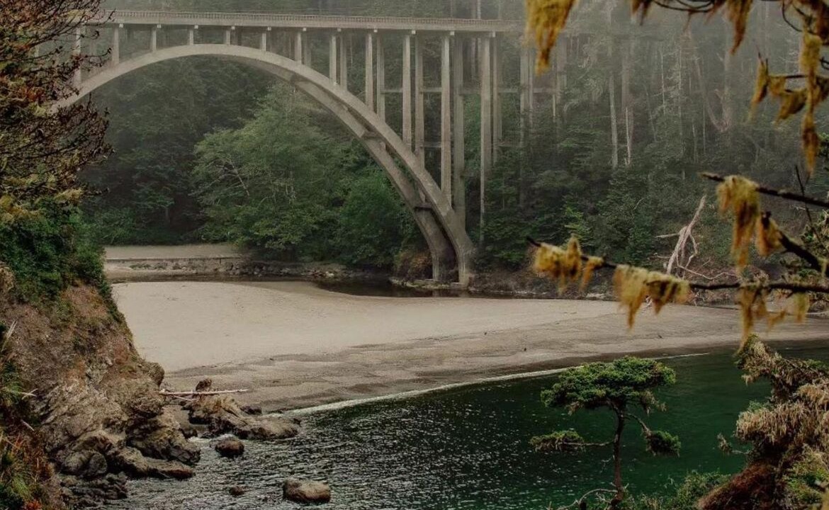 Photo of Others in Fort Bragg