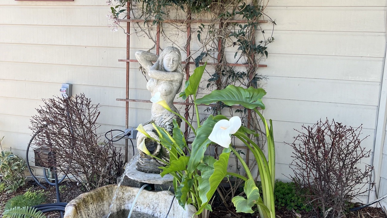 Photo of Outdoor in Fort Bragg