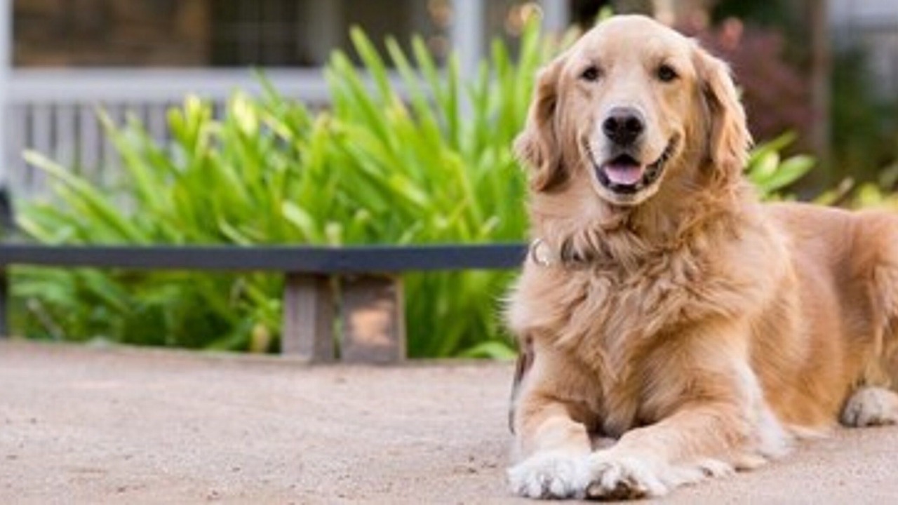 Photo of Others in Glen Ellen