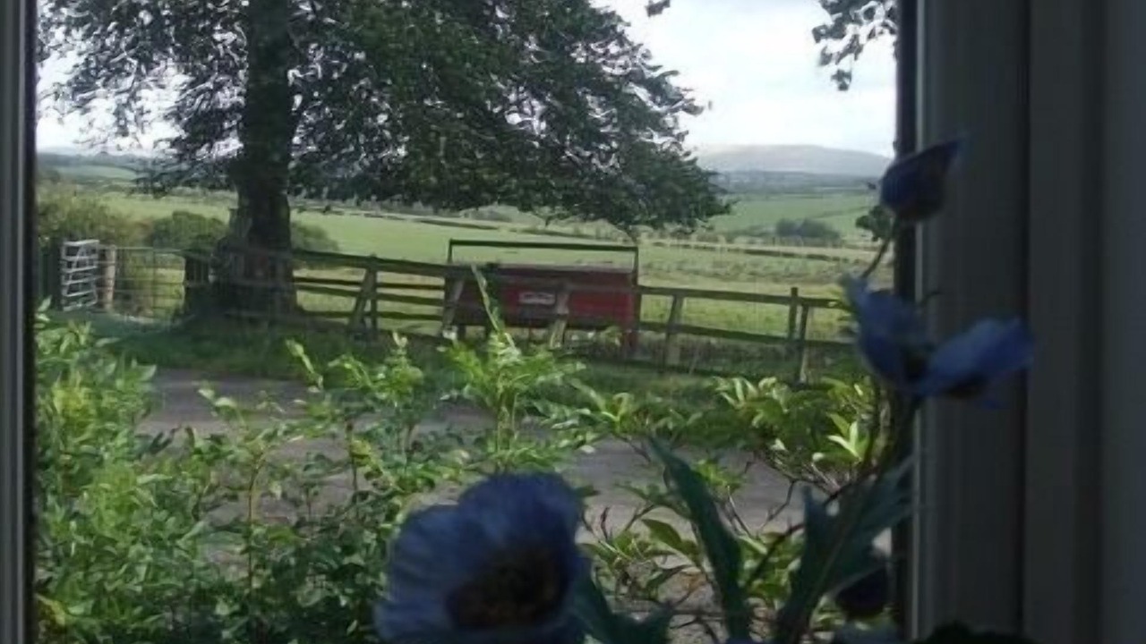 Photo of Others in Mauchline