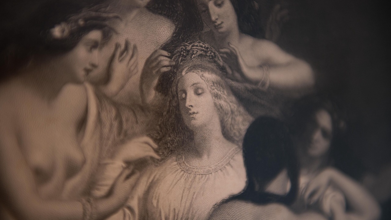 Photo of Others in Hodnet