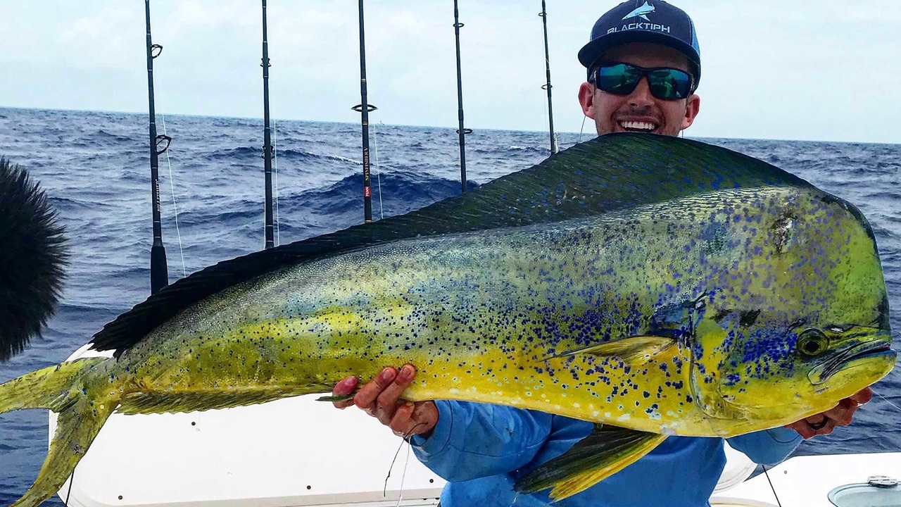 Photo of Others in Little Torch Key