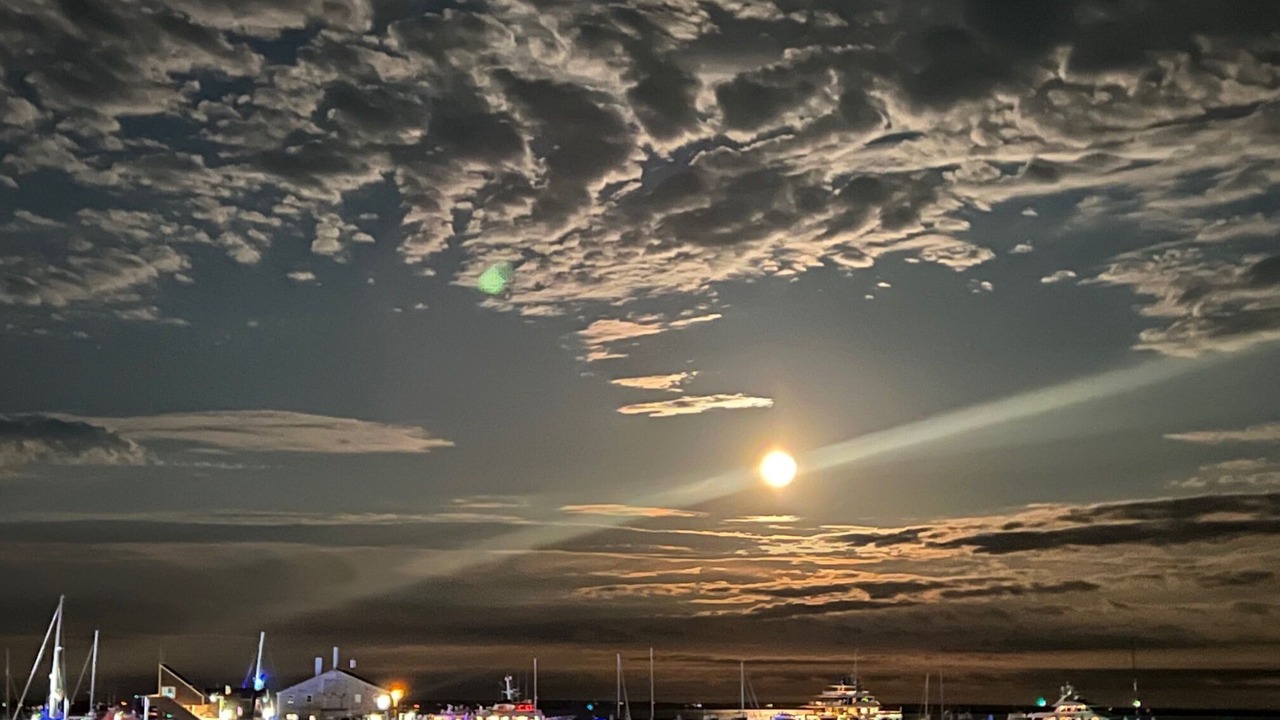 Photo of Others in Provincetown