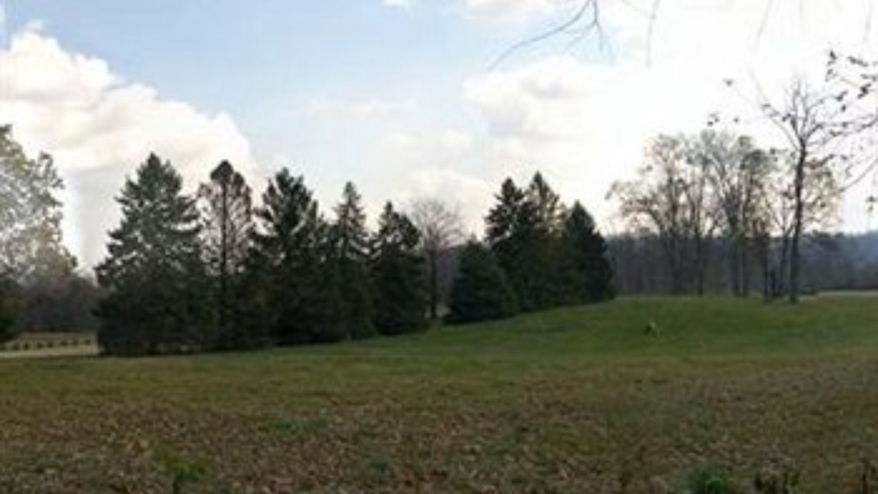 Photo of Others in Bowmansdale