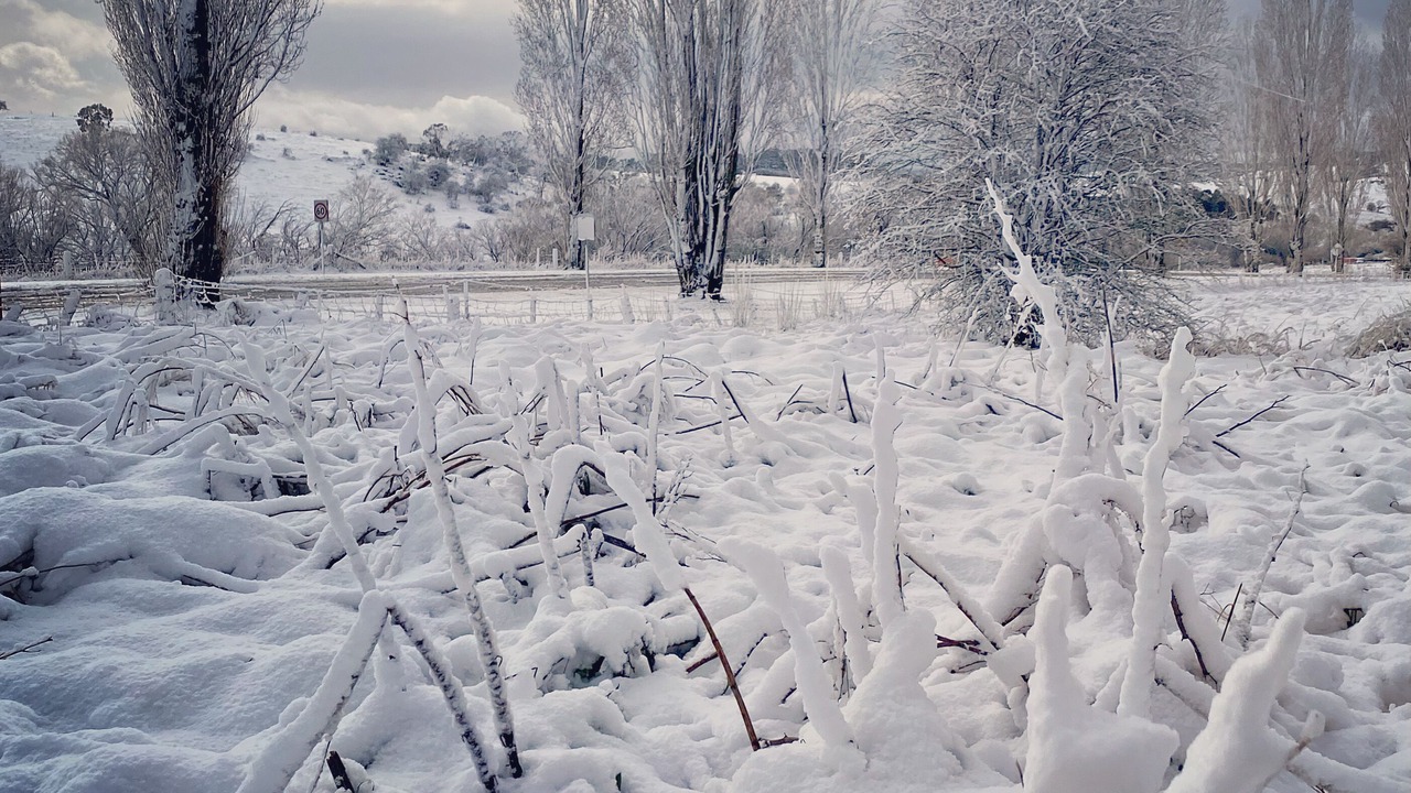 Photo of Others in Oberon