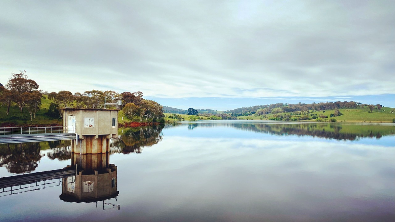 Photo of Others in Oberon