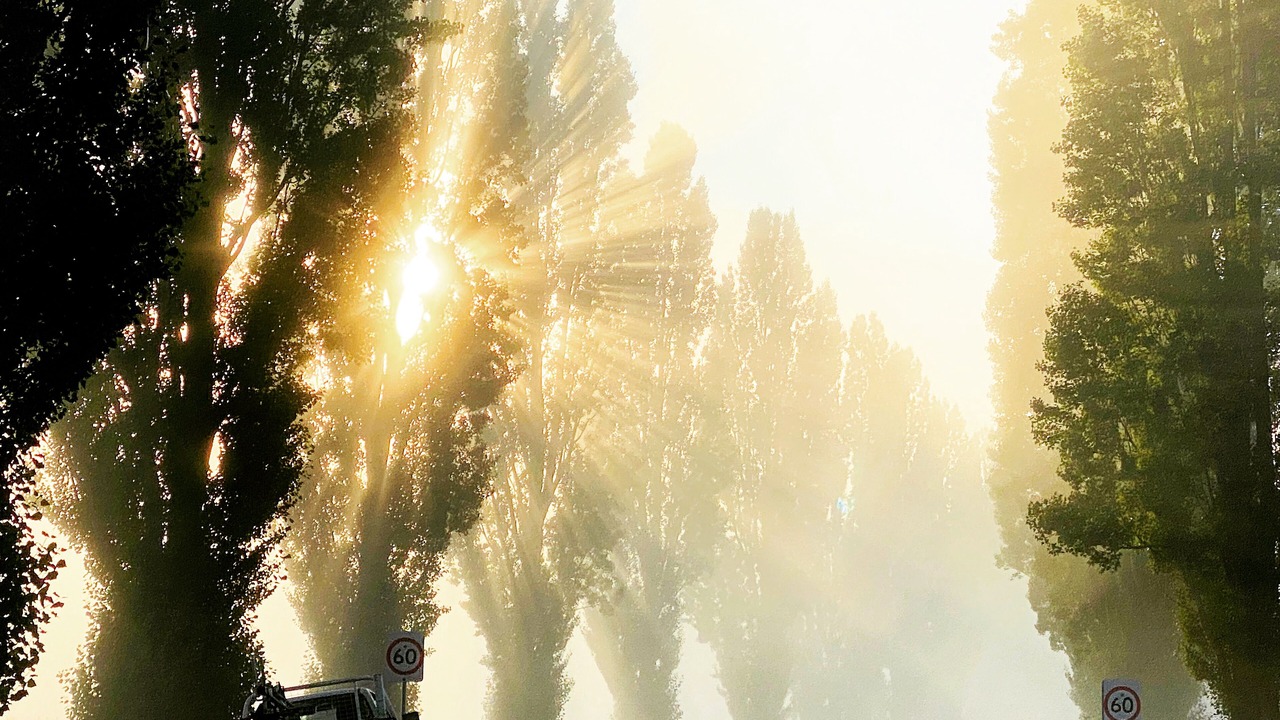 Photo of Others in Oberon