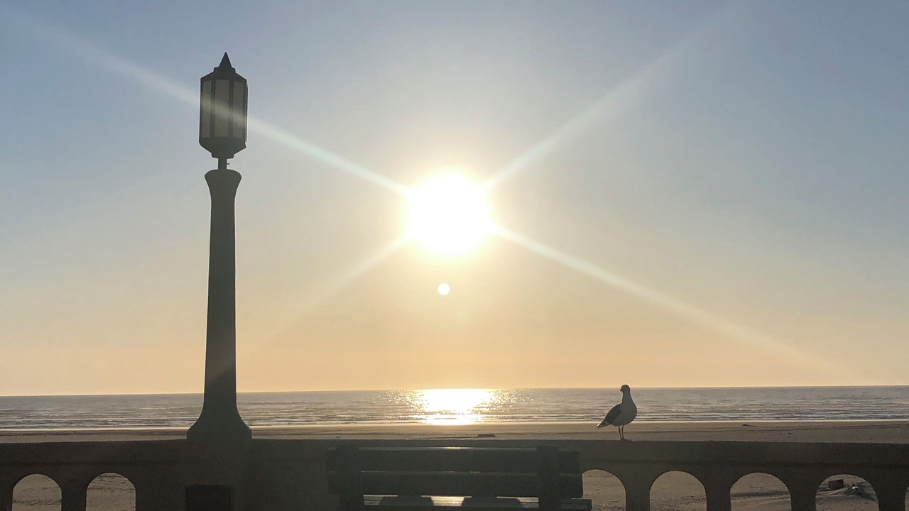 Photo of Others in Seaside