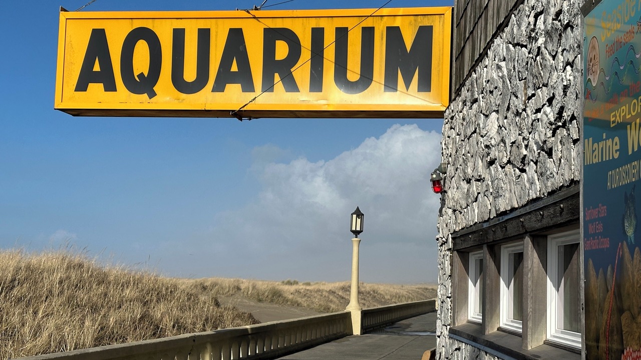 Photo of Others in Seaside