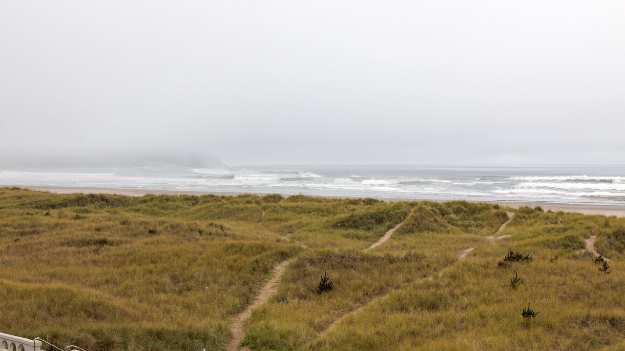 Photo of Others in Seaside