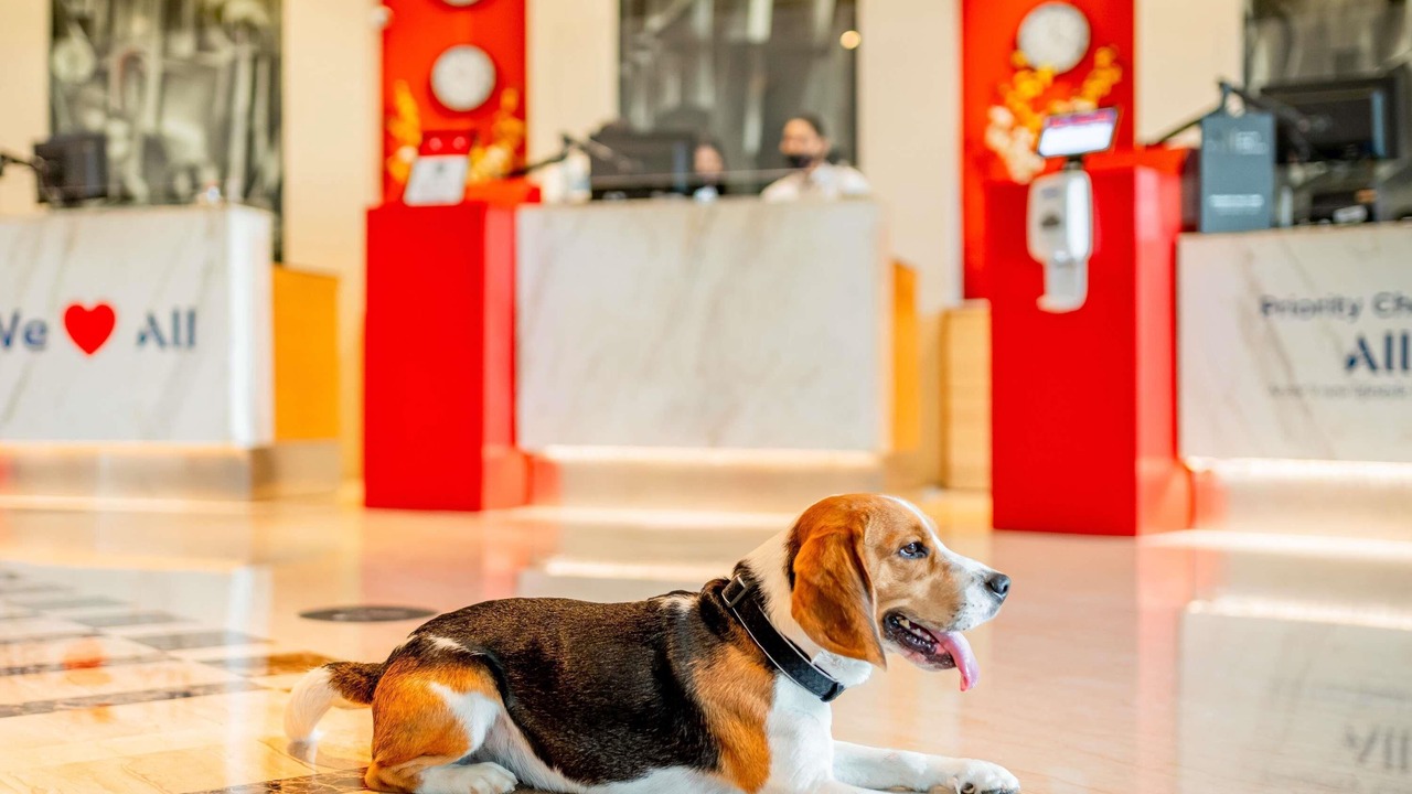 Photo of Others in Dechy