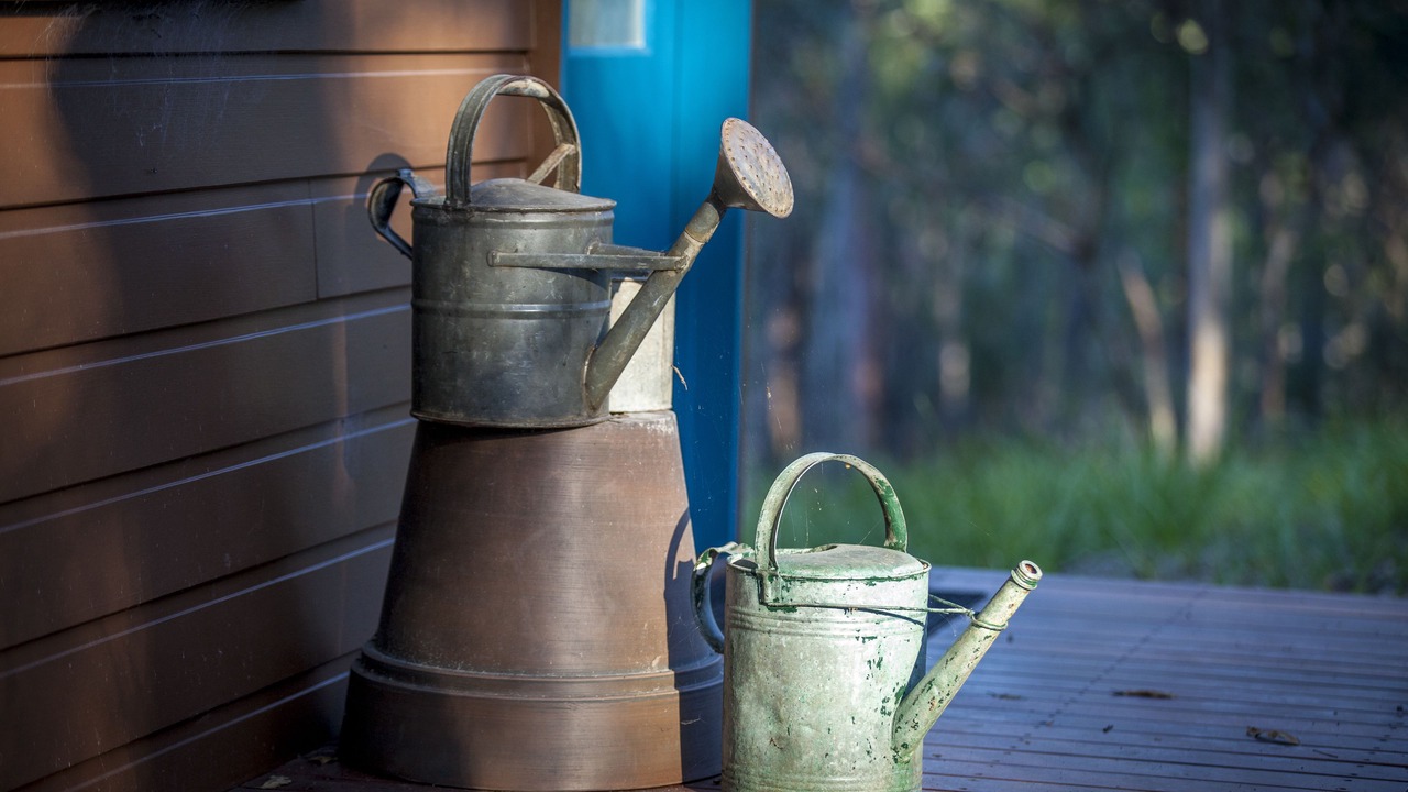 Photo of Others in Mount Cotton
