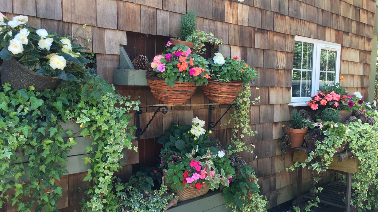 Photo of Outdoor in St Leonards