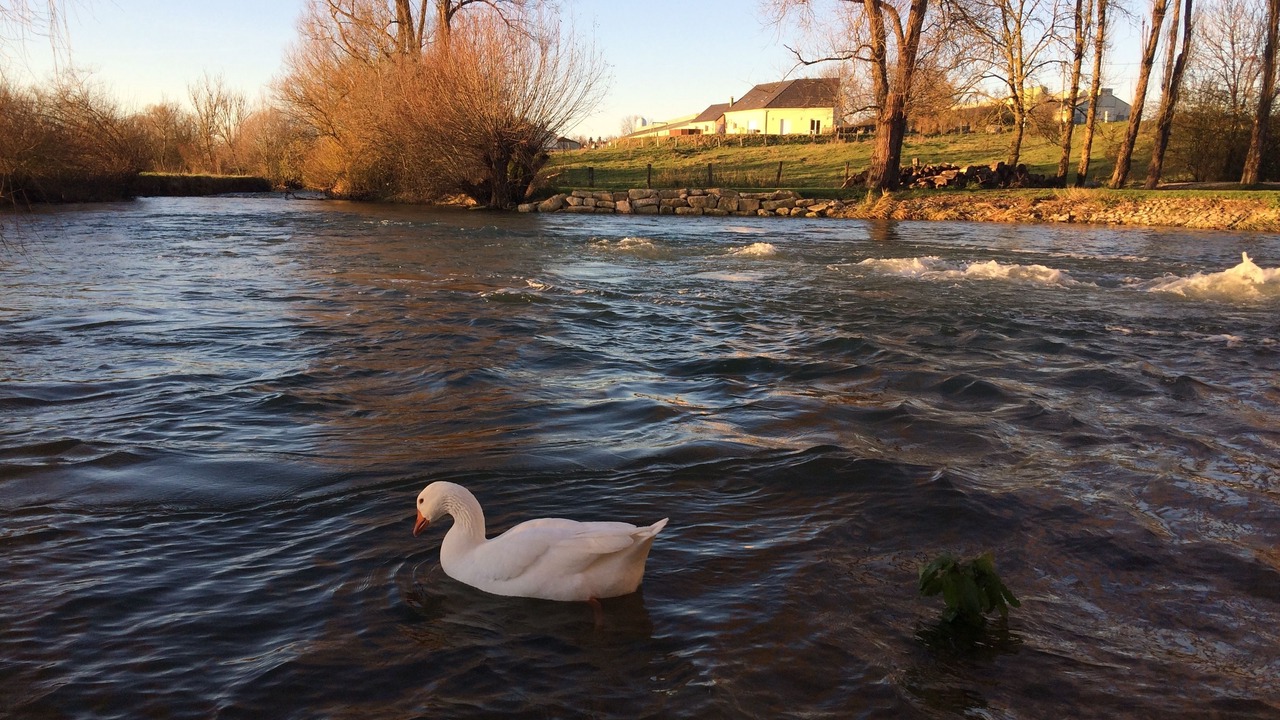 Photo of Outdoor in Chaumont-sur-Aire