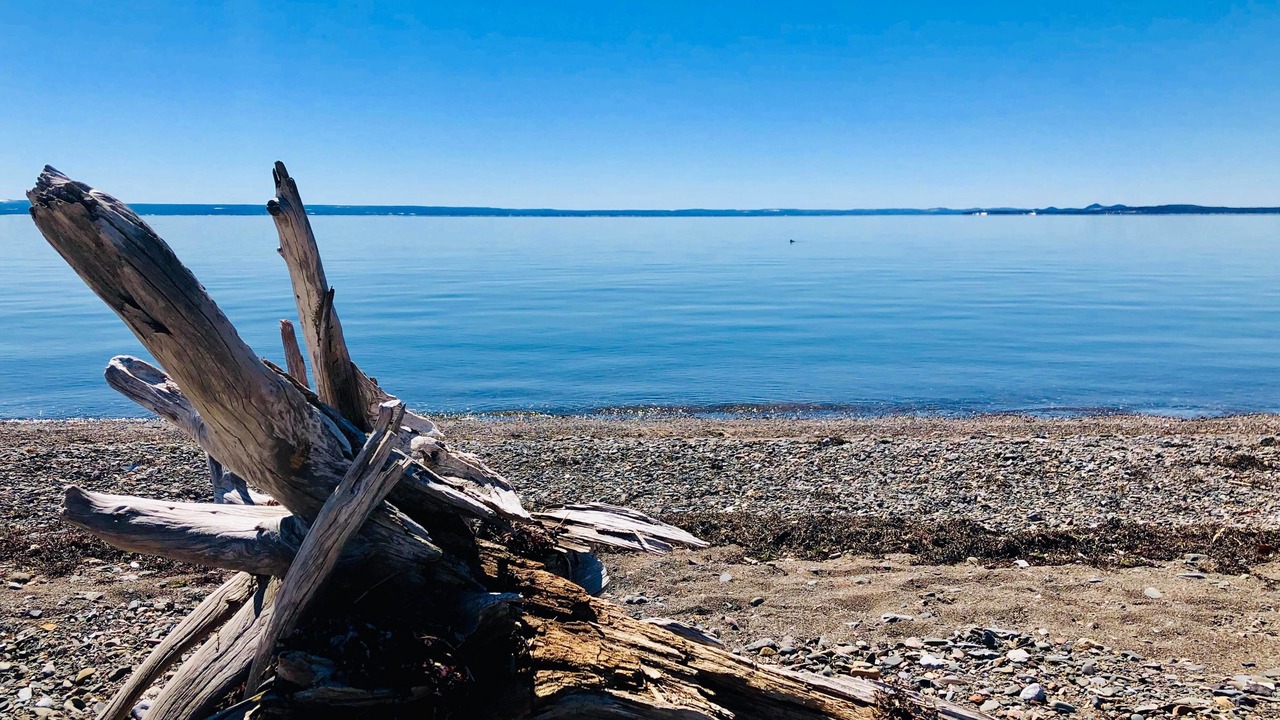 Photo of Others in Carleton-sur-Mer