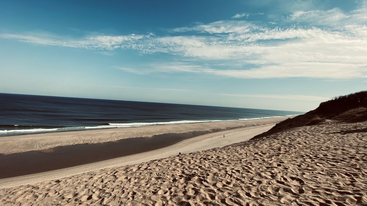 Photo of Others in Eastham