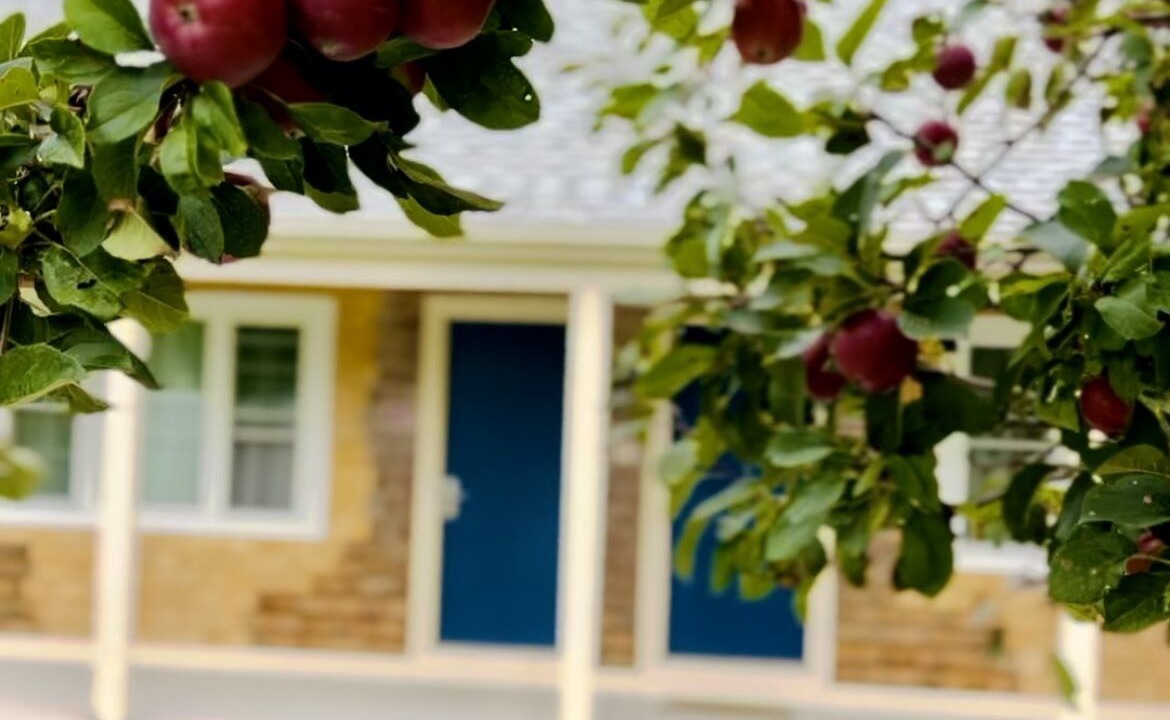 Photo of Outdoor in Eastham