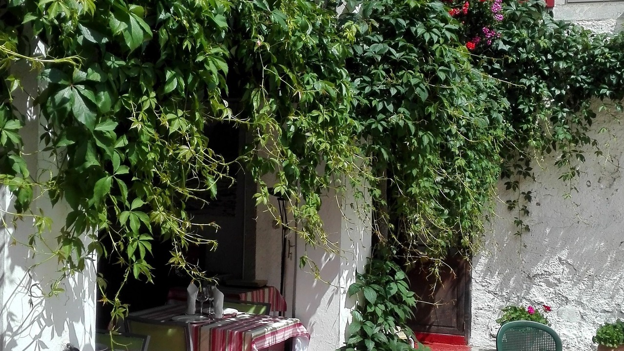 Photo of Outdoor in Sevignacq-Meyracq