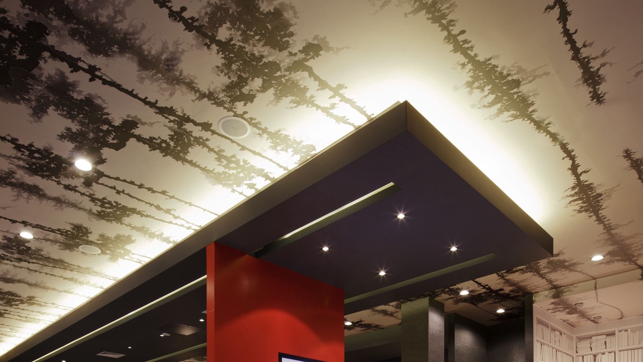 Photo of Others in Addison