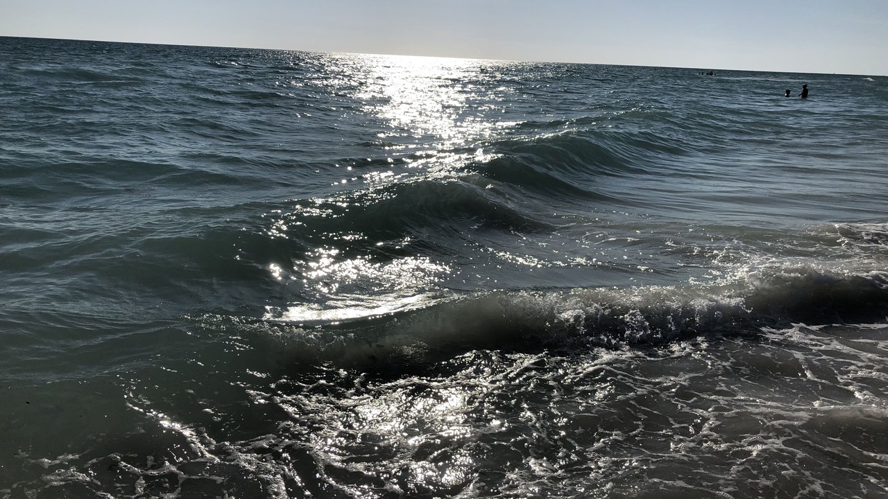 Photo of Others in Holmes Beach