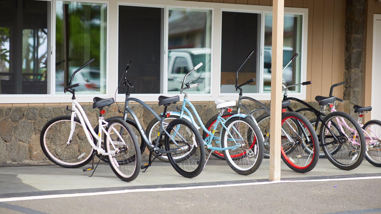 Photo of Outdoor in Wailua