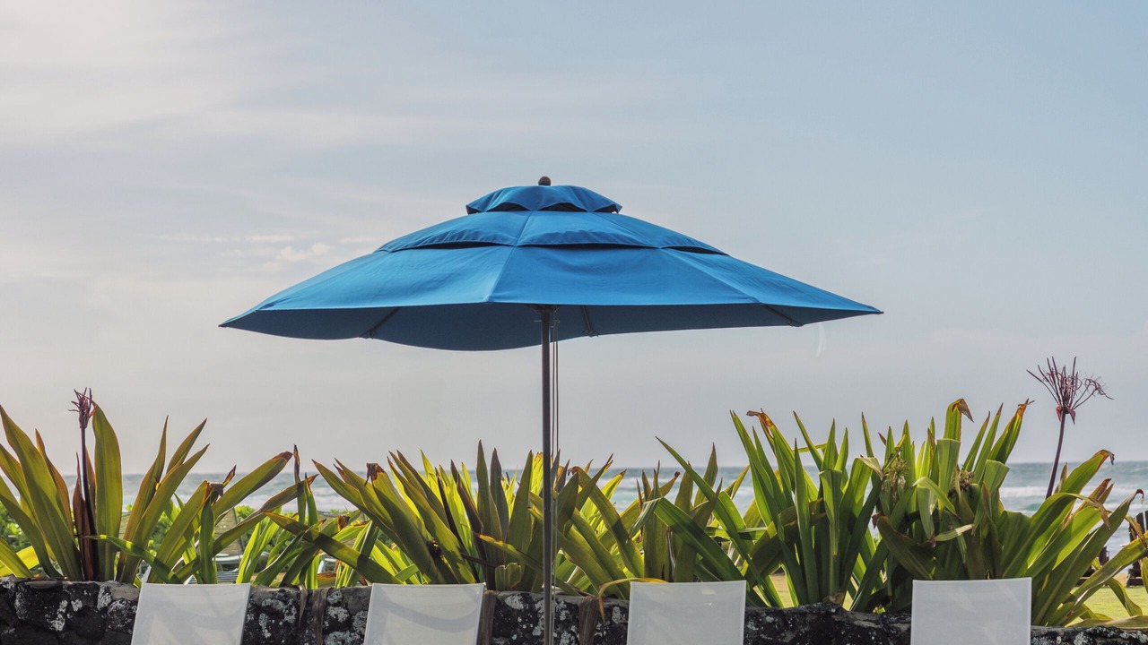 Photo of Outdoor in Wailua