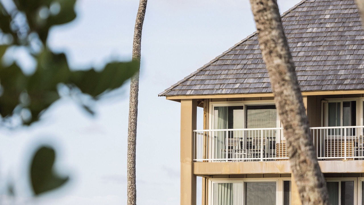 Photo of Outdoor in Wailua