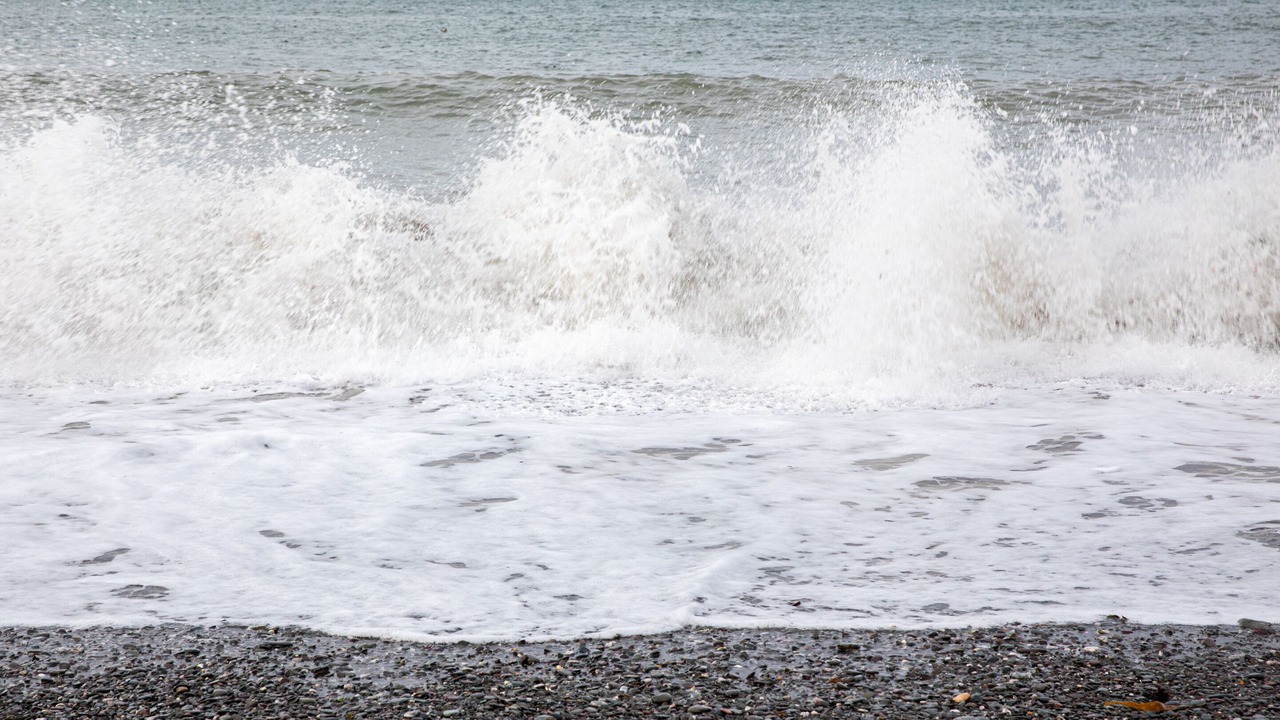 Photo of Others in Downderry