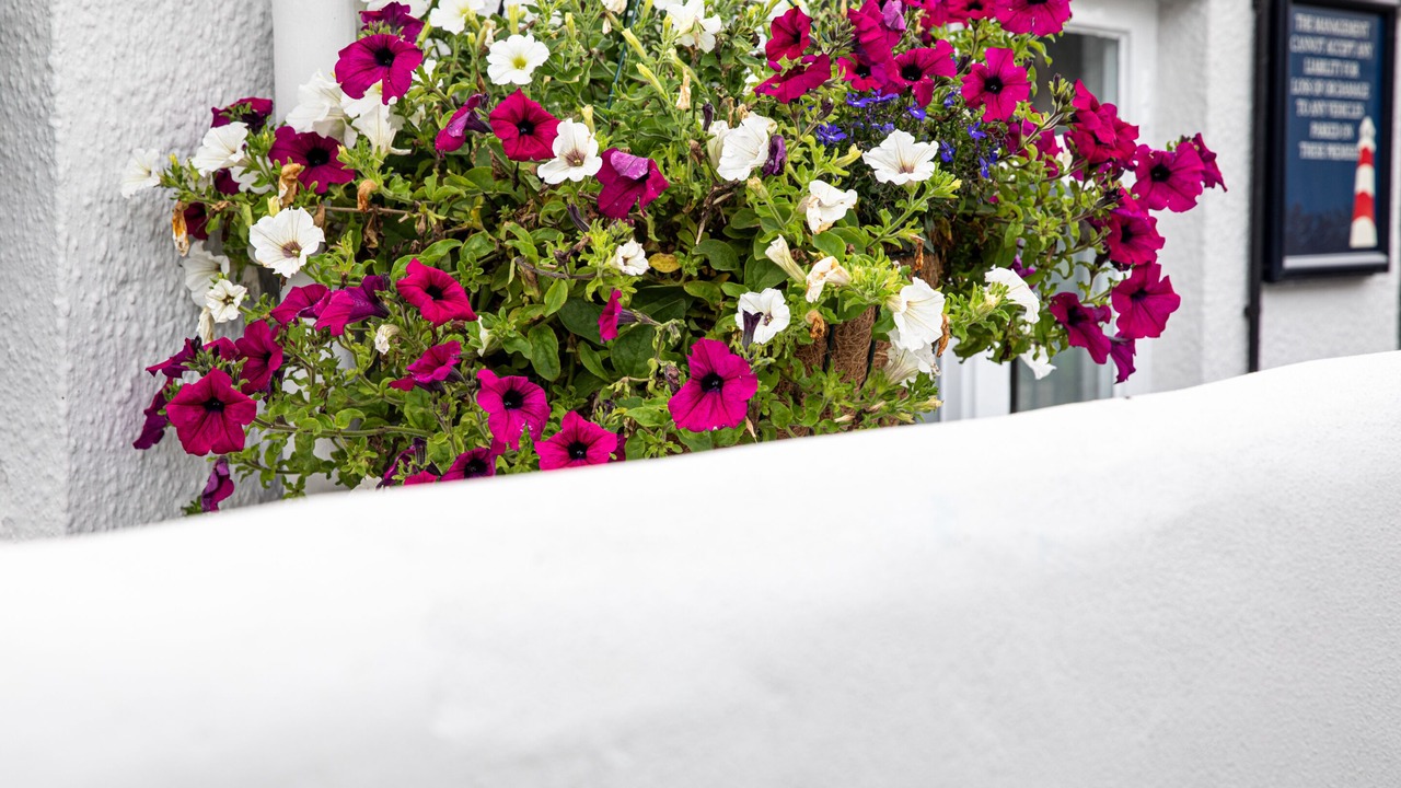 Photo of Outdoor in Downderry