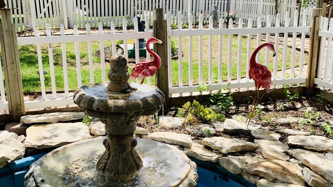 Photo of Outdoor in Denton