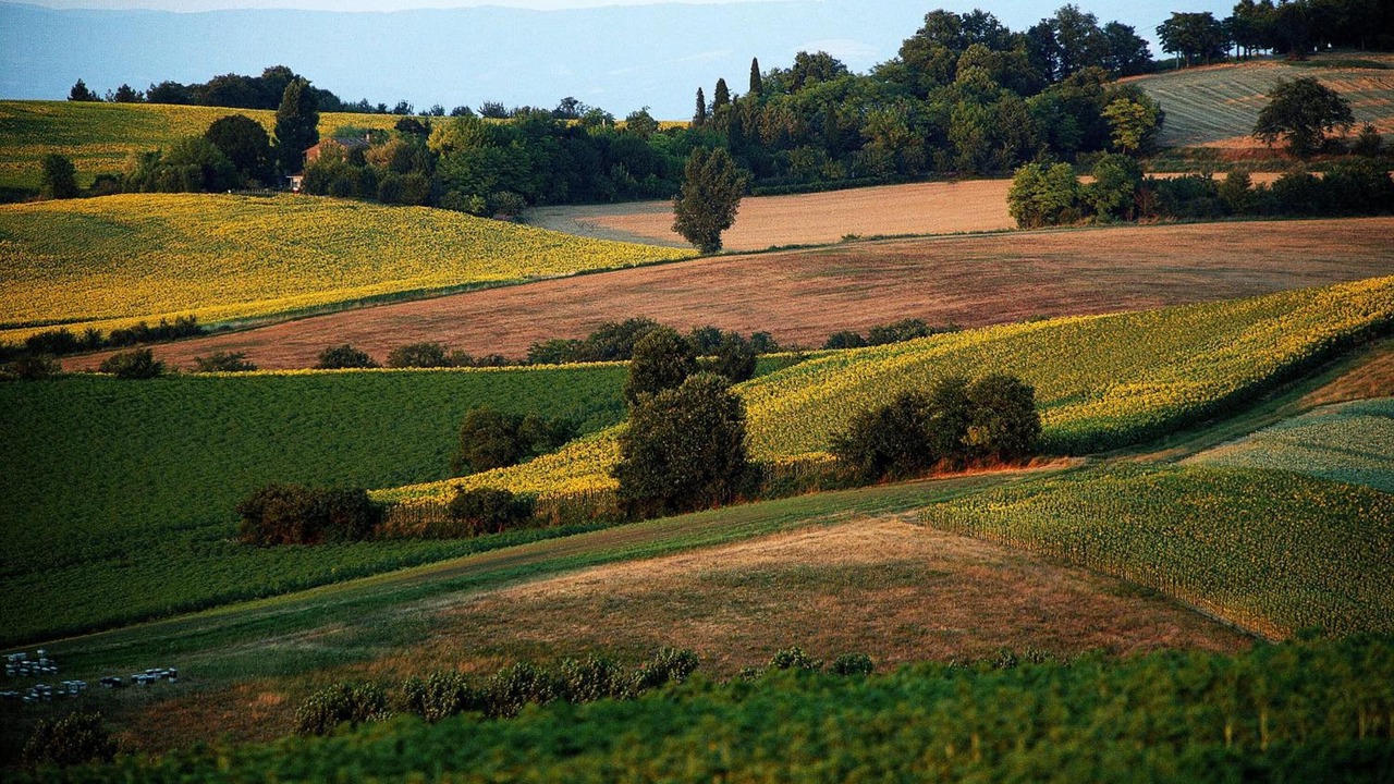Photo of Others in Saint-Felix-Lauragais