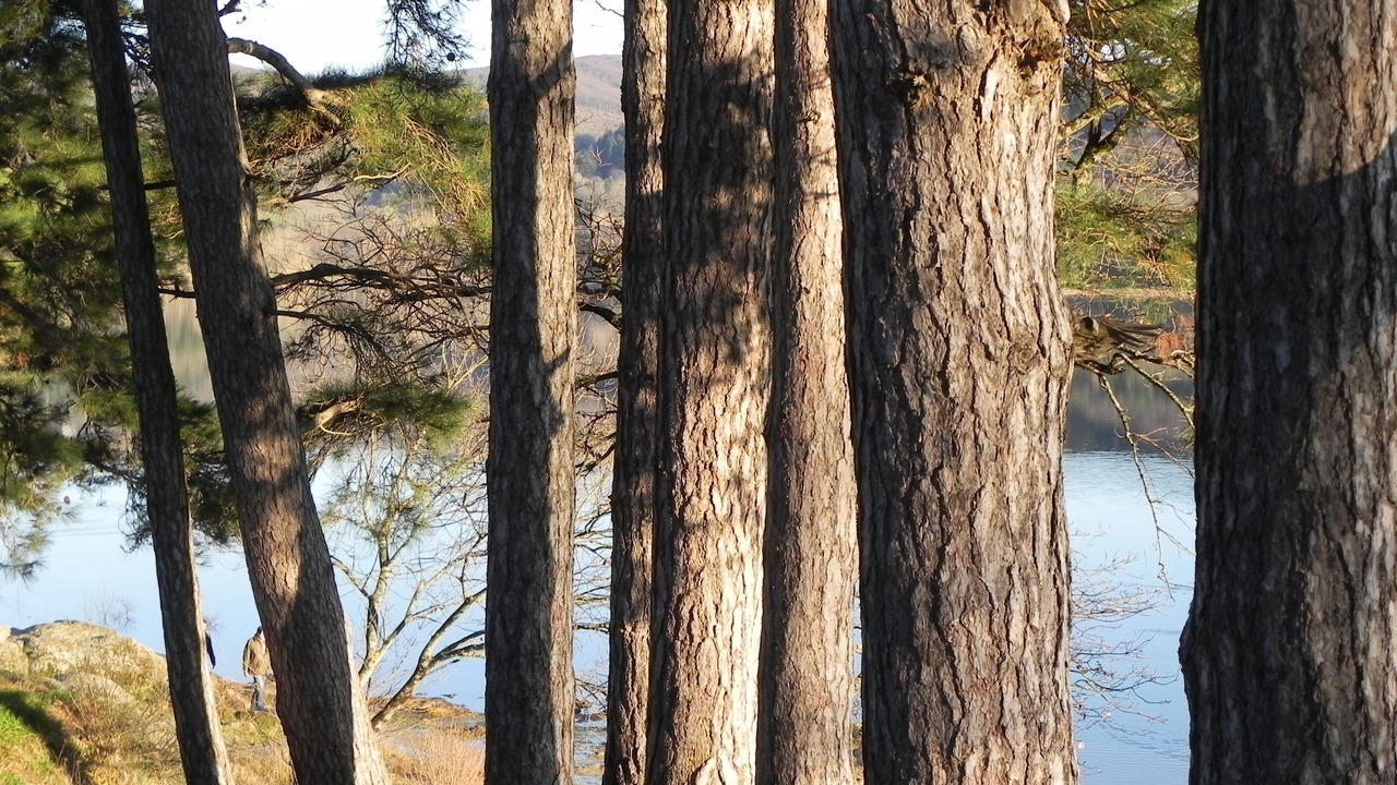 Photo of Outdoor in Saint-Felix-Lauragais