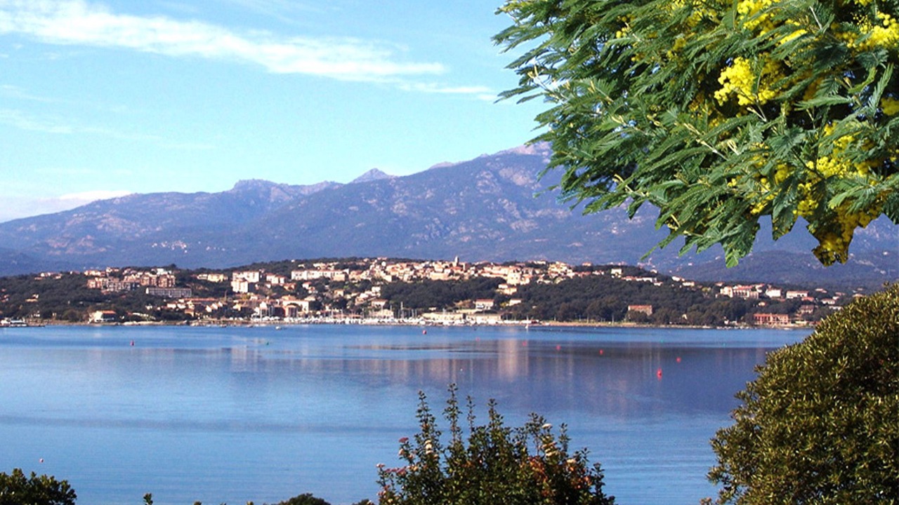 Photo of Others in Porto-Vecchio