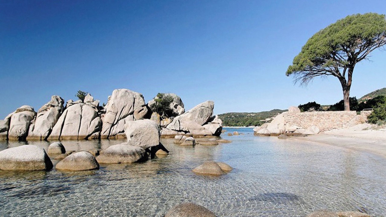 Photo of Others in Porto-Vecchio