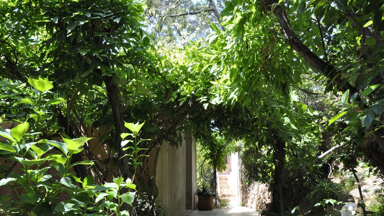 Photo of Outdoor in Porto-Vecchio