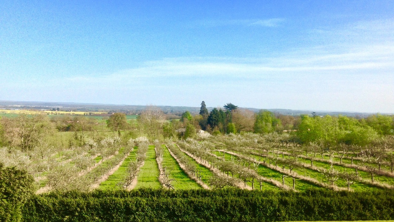 Photo of Others in Snitterfield