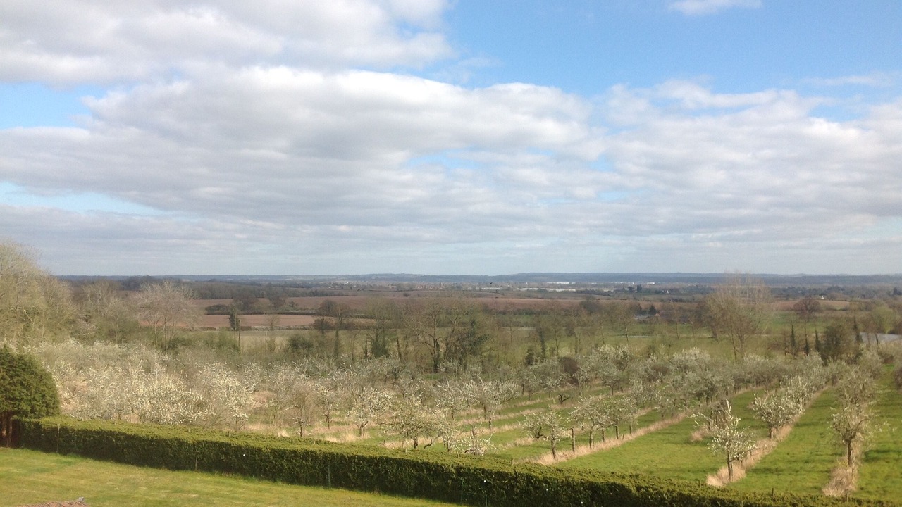 Photo of Others in Snitterfield