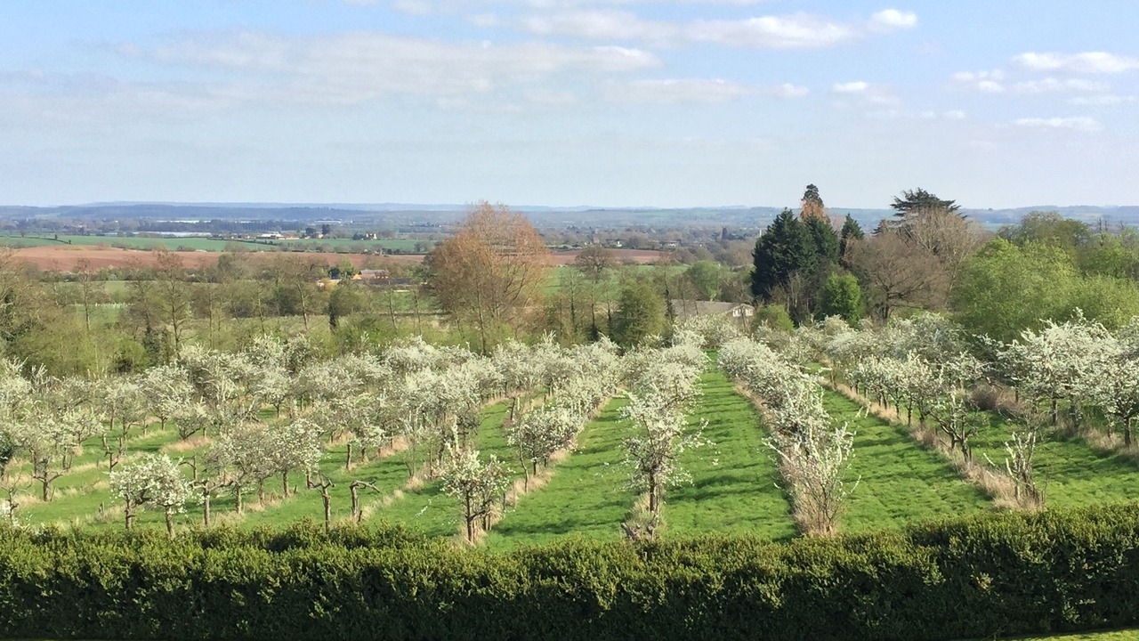 Photo of Others in Snitterfield