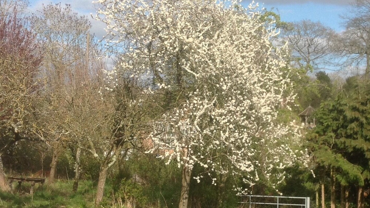 Photo of Others in Snitterfield