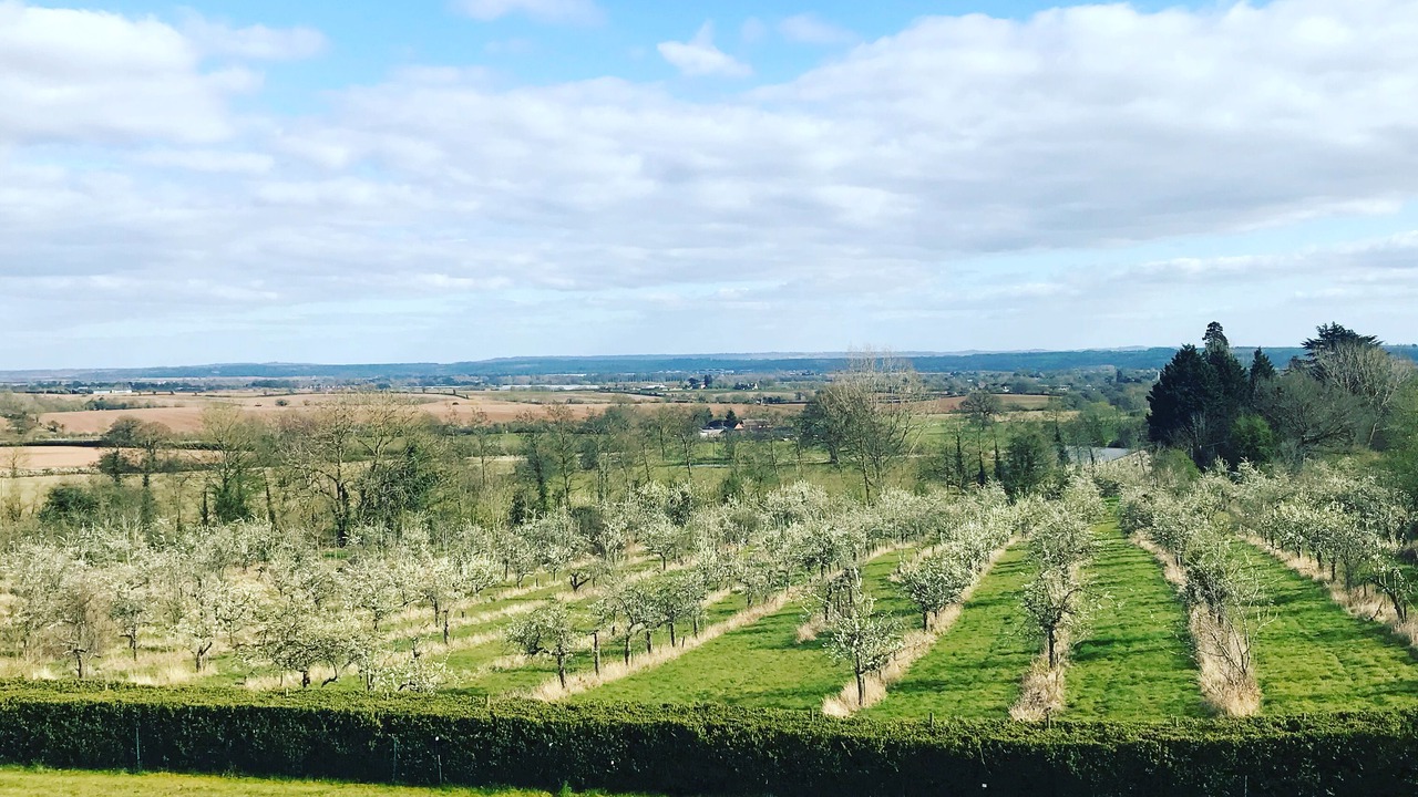 Photo of Outdoor in Snitterfield