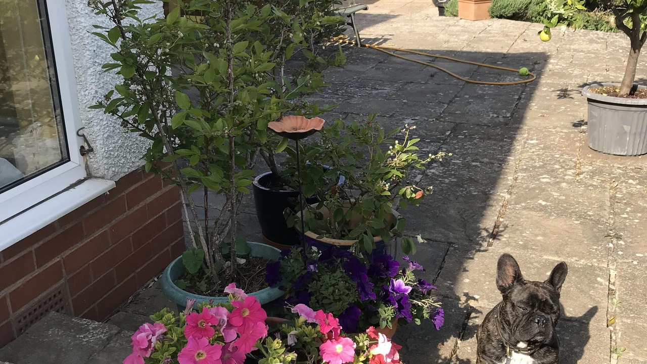 Photo of Outdoor in Snitterfield