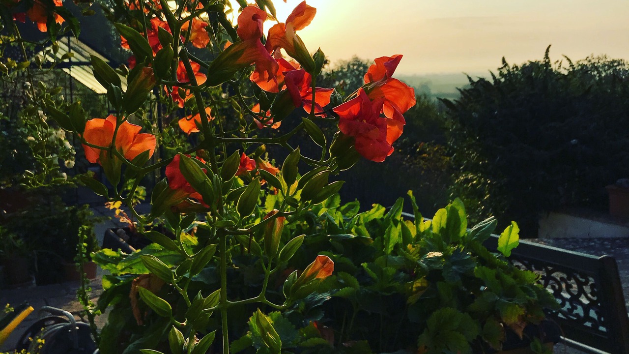 Photo of Outdoor in Snitterfield