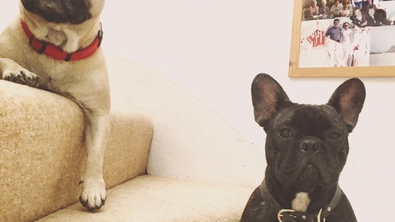 Photo of Others in Snitterfield