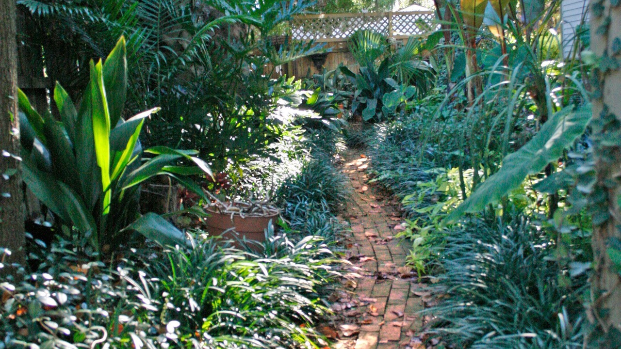 Photo of Outdoor in Thomas Square