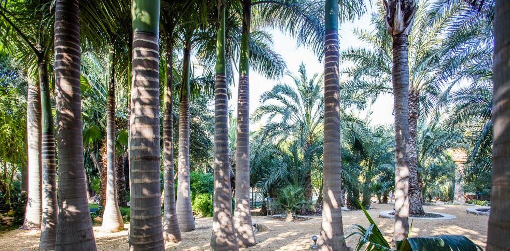 Photo of Outdoor in Alicante