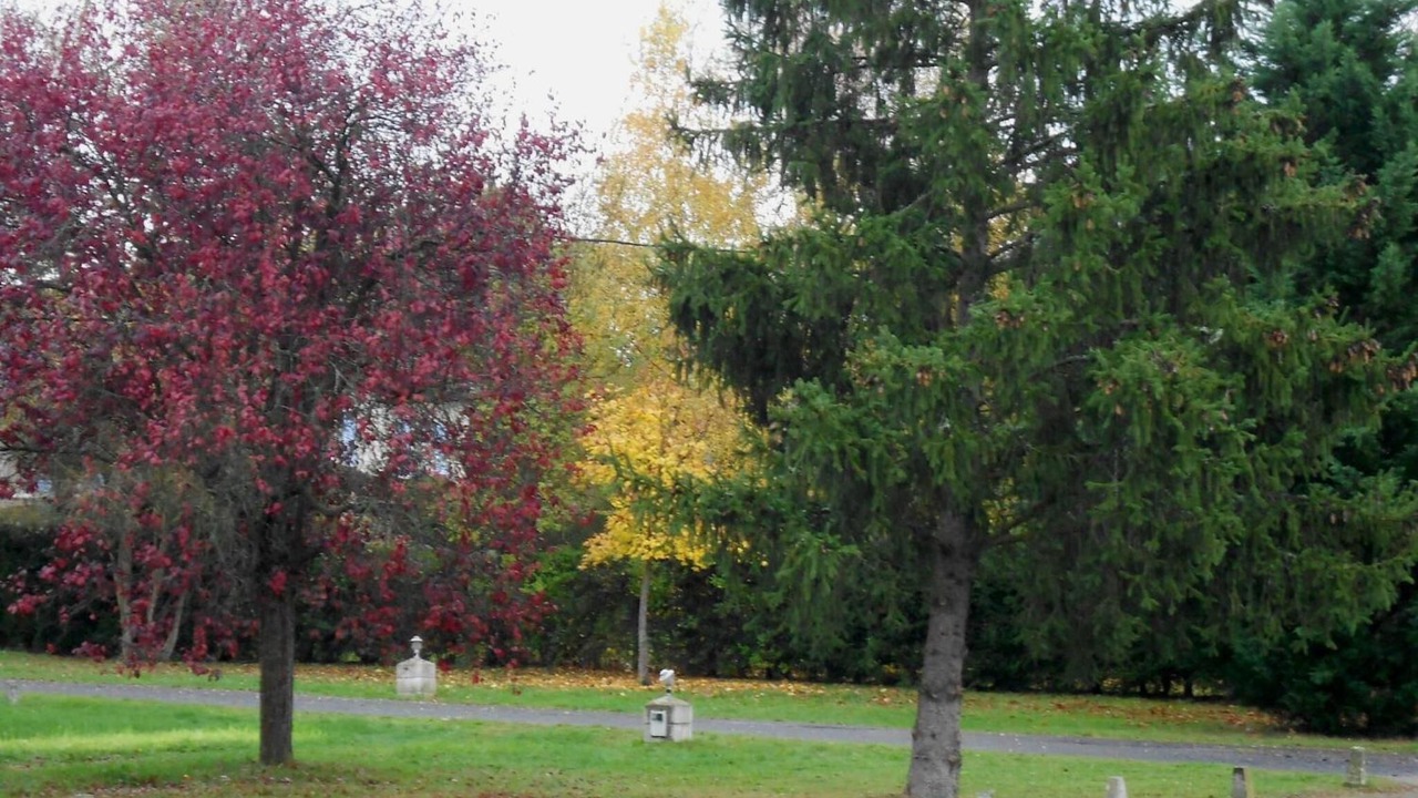 Photo of Outdoor in Blavozy