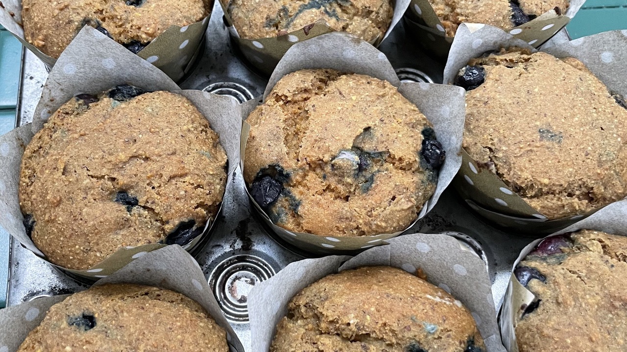 Photo of Others in Cold Spring Harbor