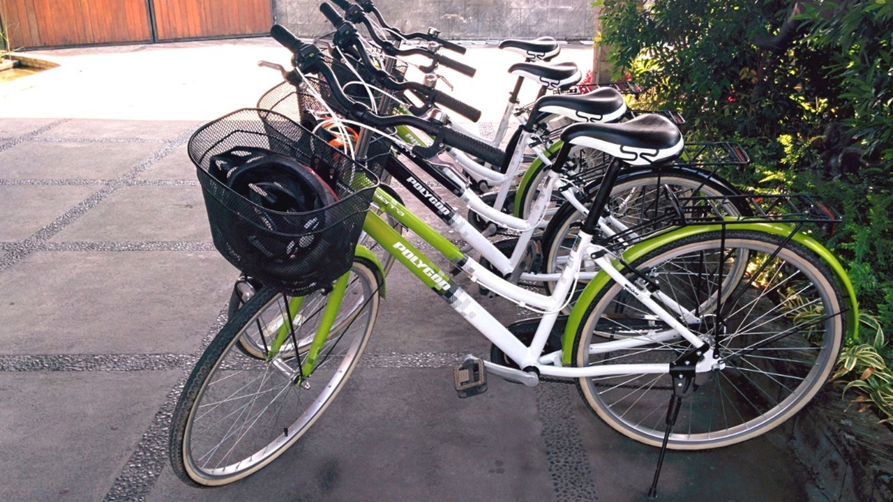 Photo of Outdoor in Lovina